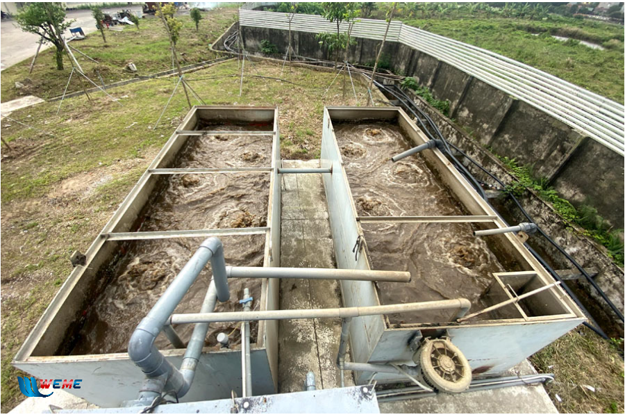 Hệ thống xử lý nước thải chăn nuôi bò