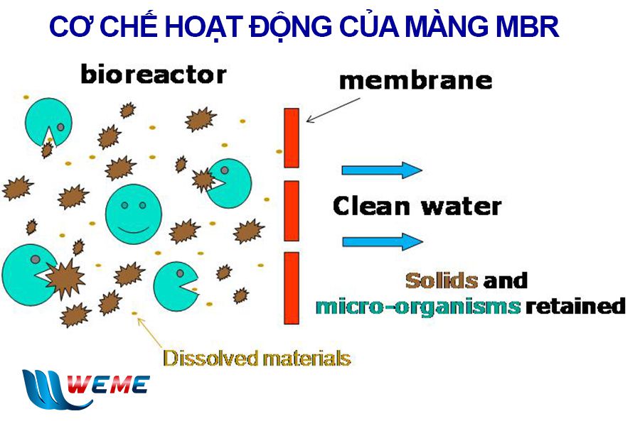 Cơ chế hoạt động của màng MBR trong xử lý nước thải sinh hoạt
