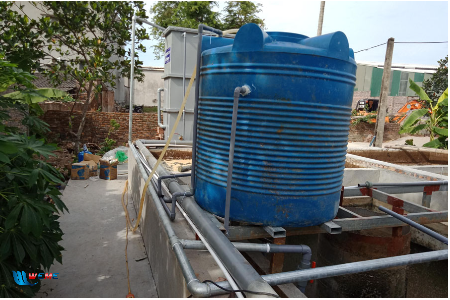 Bể xử lý nước thải chăn nuôi
