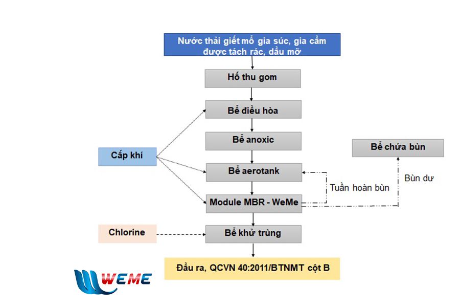 Quy trình xử lý nước thải giết mổ gia súc, gia cầm bằng phương pháp xử lý sinh học