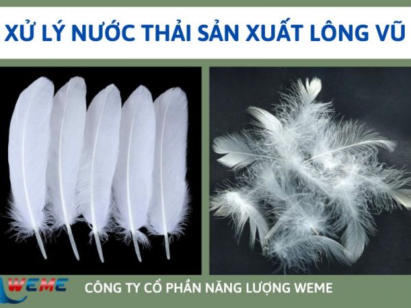 Xử lý nước thải sản xuất lông vũ