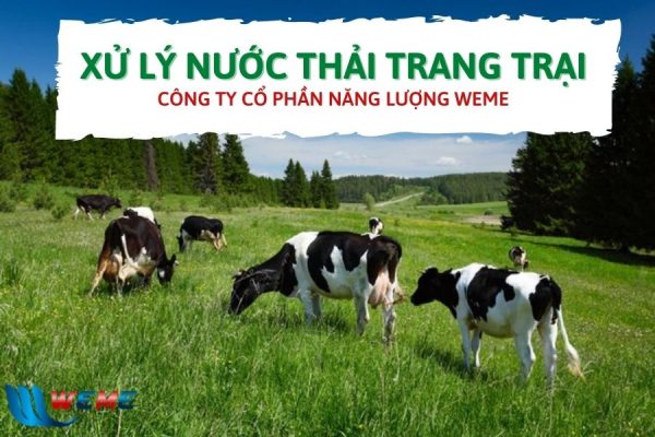 Xử lý nước thải trang trại