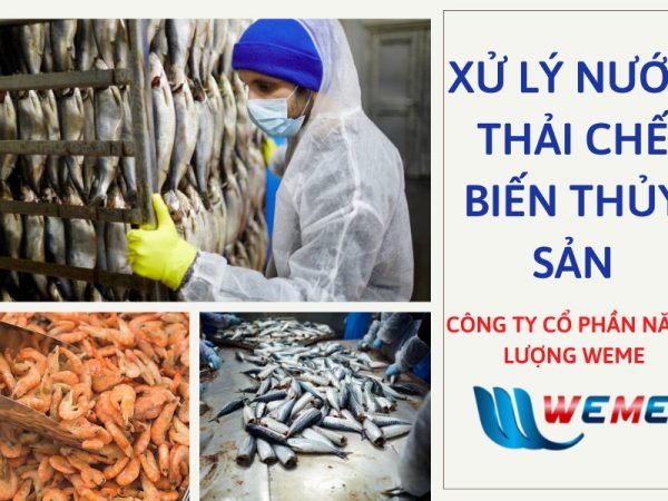 Xử lý nước thải chế biến thủy sản - WeMe