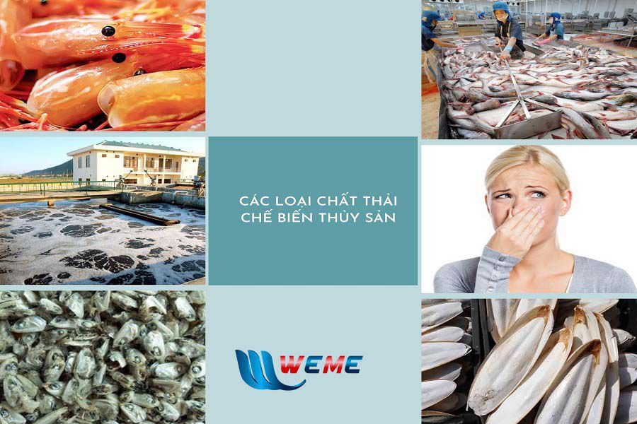 Các loại chất thải có thể phát sinh trong nhà máy chế biến thủy sản