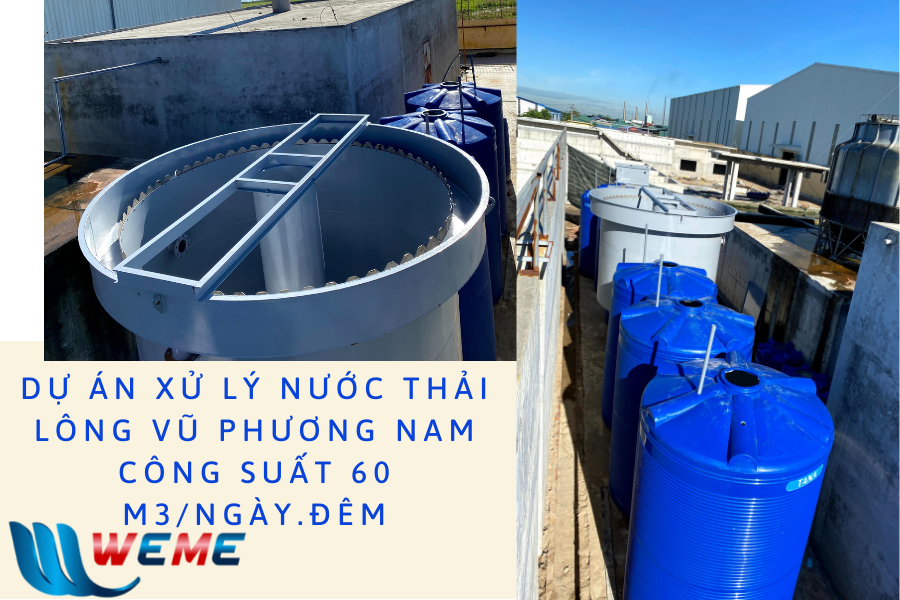 Xử lý nước thải sản xuất lông vũ công ty Phương Nam 60m3/ngày.đêm