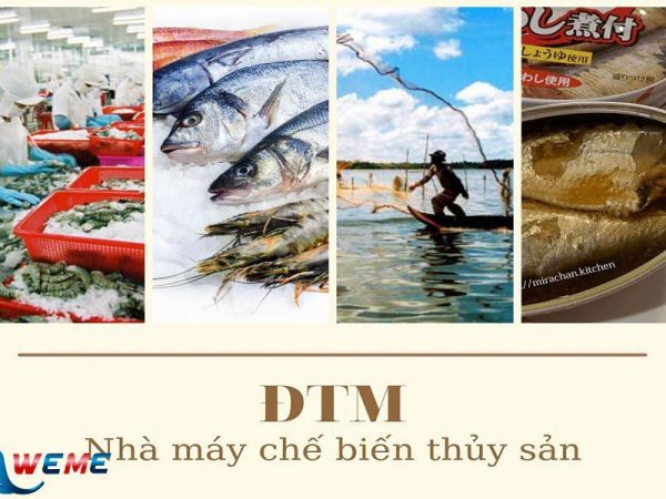 Lập ĐTM nhà máy chế biến thủy sản