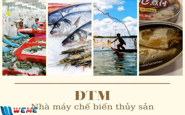 Lập ĐTM nhà máy chế biến thủy sản