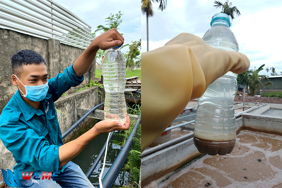 Nước thải chăn nuôi đầu ra Nước thải đầu ra