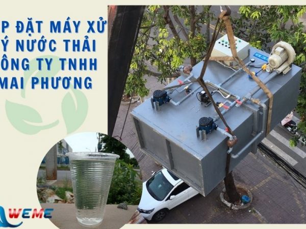 Dự án lắp đặt máy xử lý nước thải cho Công ty TNHH Mai Phương