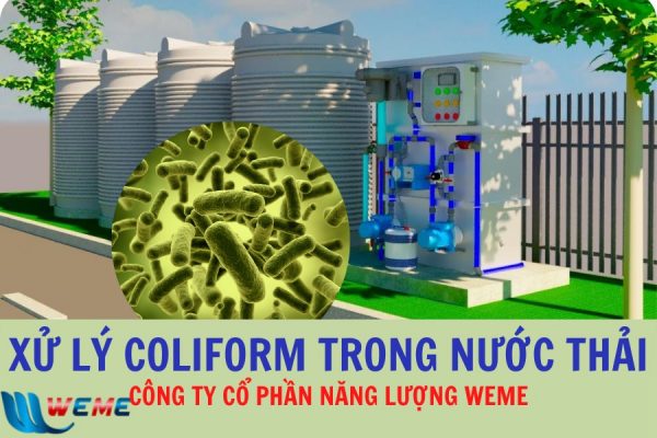 Xử lý coliform trong nước thải