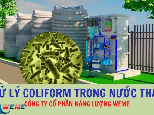 Xử lý coliform trong nước thải