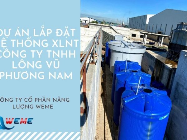 Lắp đặt hệ thống xử lý nước thải Công ty TNHH Lông Vũ Phương Nam