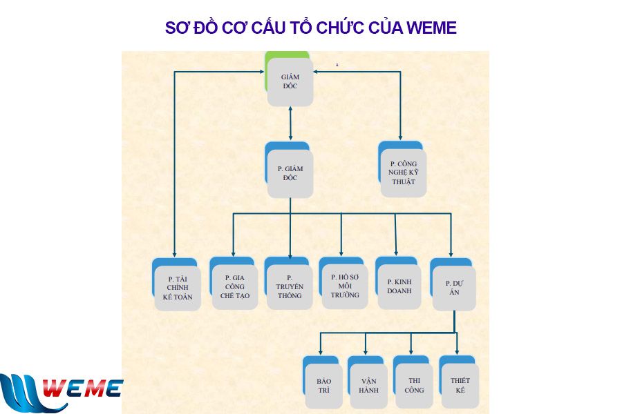 Sơ đồ cơ cấu tổ chức của Công ty Cổ phần Năng Lượng WeMe