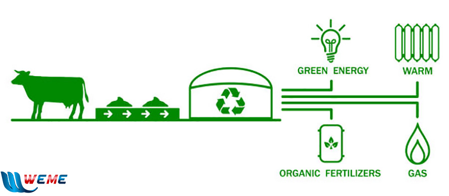 xử lý chất thải chăn nuôi bằng công nghệ biogas
