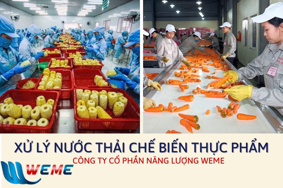 Xử lý nước thải chế biến thực phẩm