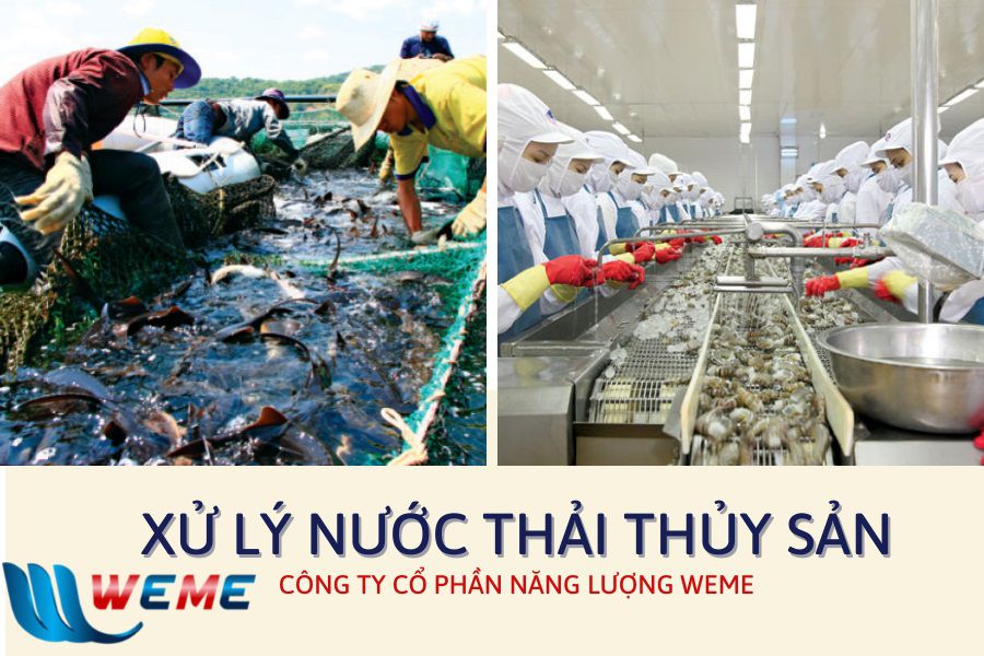 Xử lý nước thải thủy sản