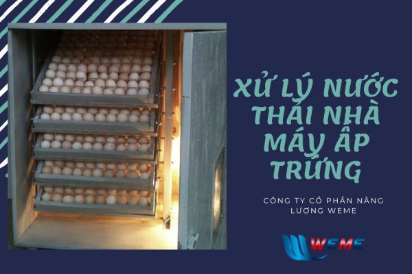 Xử lý nước thải nhà máy ấp trứng