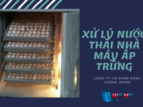 Xử lý nước thải nhà máy ấp trứng