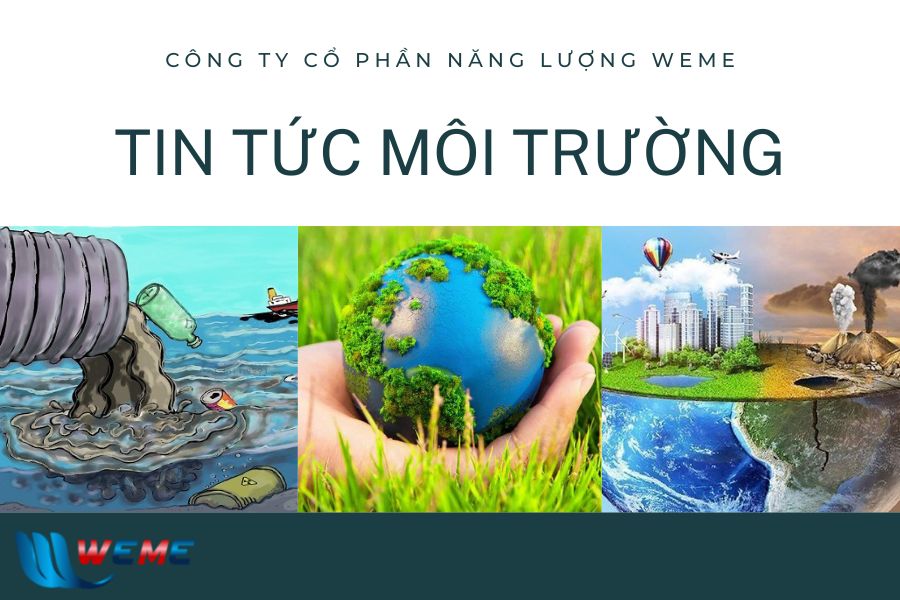 Tin tức môi trường