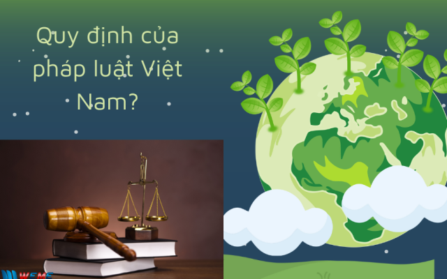 Pháp luật quy định về giấy phép môi trường?