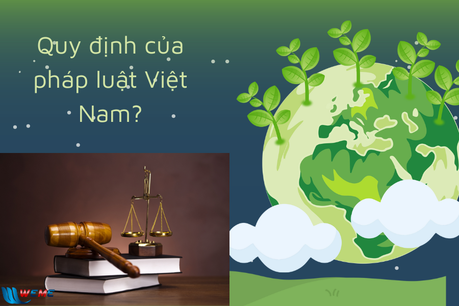 Pháp luật quy định về giấy phép môi trường?