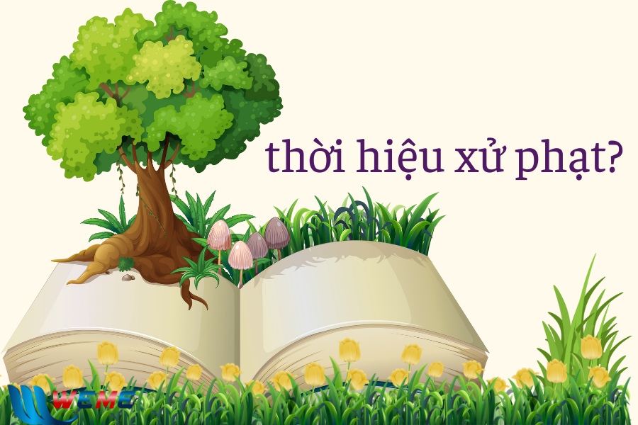 thời hiệu xử phạt vi phạm hành chính môi trường?