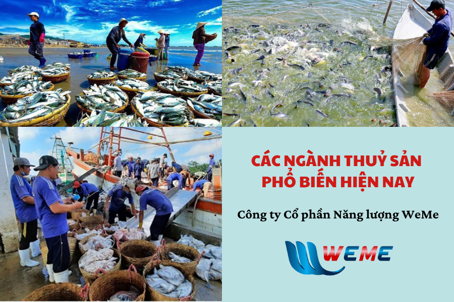 cac-nganh-nghe-thuy-san-pho-bien-hien-nay