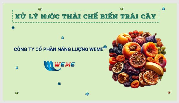 Xử Lý Nước Thải Chế Biến Trái Cây Đóng Hộp