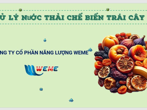Xử Lý Nước Thải Chế Biến Trái Cây Đóng Hộp