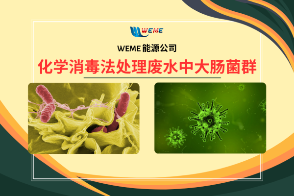 化学消毒法处理废水中大肠菌群