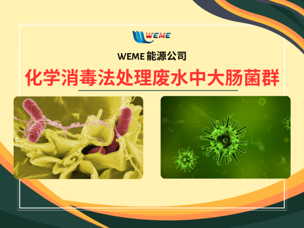 化学消毒法处理废水中大肠菌群